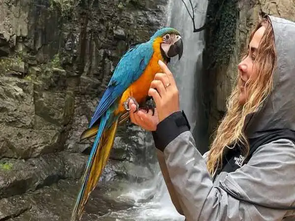 تصاویر؛ سفر ماجراجویانه آناهیتا نعمتی با طوطی رنگارنگ در دل طبیعت