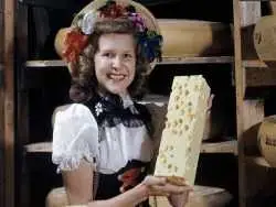 معمای بزرگ «سوراخ های پنیر سوییسی» که بعد از صد سال حل شد