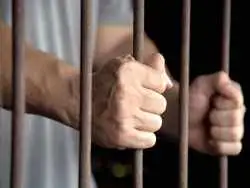 جزئیات بازداشت پژمان جمشیدی از زبان مدیرعامل خبرگزاری قوه قضائیه