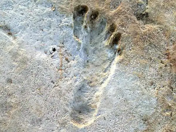 «قدیمی ترین ردپاهای جهان» در کجا پیدا شده اند؟ 
