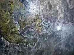 «موزاییک» دوران روم باستان با طرح حیوانات از عمق دو متری زمین بیرون آمد