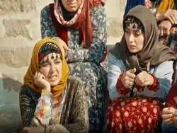 عکس| سفر در زمان؛ «بهنام» سریال نون خ در کنار حامد بهداد در کالیفرنیا؛ سال 98