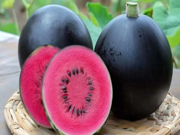 گرانترین میوه های جهان؛ از مِلون ژاپنی تا آناناس انگلیسی