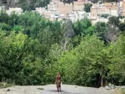 زن جوان، شاکی پژمان جمشیدی، سکوتش را شکست