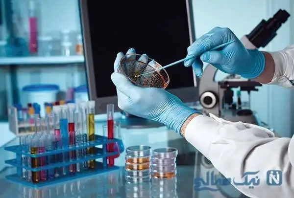 بهترین و دقیق ترین آزمایشگاه های تهران را بشناسید