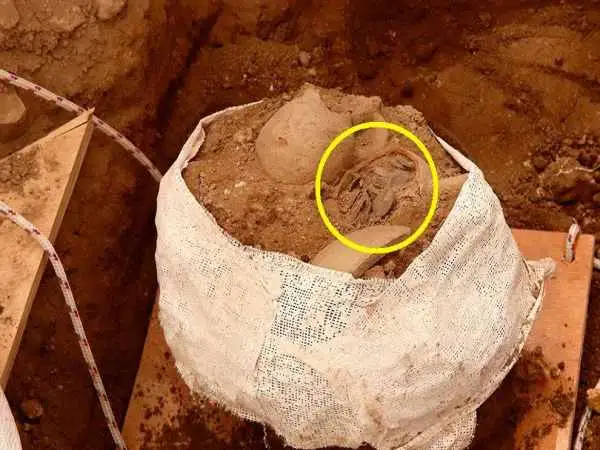 گنج سکّه های 600 ساله از زیر دیوار قدیمی بیرون آمد