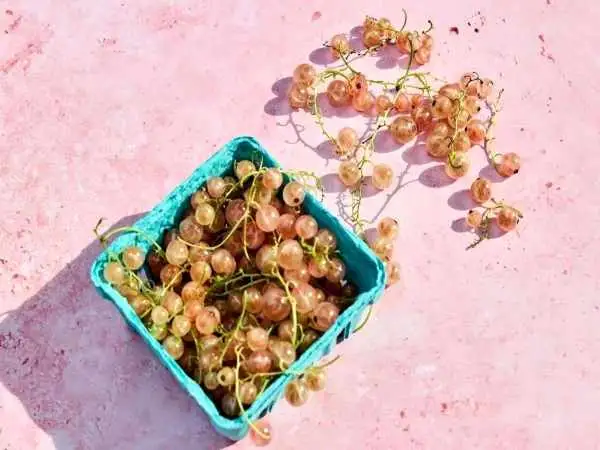 اگر این 3 علامت را دارید، فیبر زیادی می خورید!