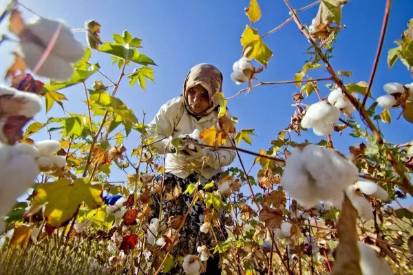قرص ریلیف؛ مسکنِ دردهای سلیمه و ناهید در فشار نان آوری