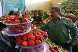 تاثیر غریب جنگ بر خوشمزگی و ارزانی میوه های امسال!