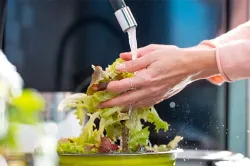 شست وشوی این سبزی محبوب تابستانی را جدی بگیرید