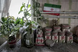 با چشمانی اشک آلود ما باز هم نوروز را در آغوش می کشیم