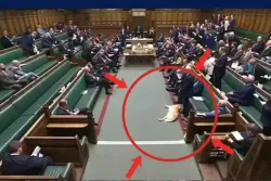 سگ خواب آلود در پارلمان بریتانیا خبرساز شد